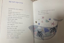 [알라딘서재]길고양이 릴리 아가씨