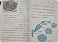 [하늘을난다] : 알라딘
