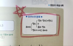 [알라딘서재]교과서 개념잡기 중학수학 1-1로 예비중학을 알차게 준비합니다! 교과서 개념잡기 중학수학 1-1로 예비중학을 알차게 준비합니다!