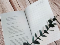 [알라딘서재]생각이 바뀌면 인생이 달라진다 『걱정하지 마라 생각대로 된다』 ﻿생각이 바뀌면 인생이 달라진다 『걱정하지 마라 생각대로 된다』
