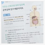 [알라딘서재]🧪과학, 꺼내 먹듯이 가볍게! 하루 한 장 과학 호기심 탐험기✨