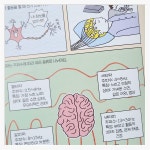[알라딘서재]🧠 몰입, 아이의 뇌에 숨겨진 슈퍼파워를 깨우다! 🧠 몰입, 아이의 뇌에 숨겨진 슈퍼파워를 깨우다!