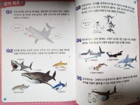 [알라딘서재]드래곤빌리지 학습도감 식인 상어 1,2 드래곤빌리지 학습도감 식인 상어 1,2