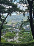 [알라딘서재]자하와 목석원 자하와 목석원