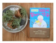 [알라딘서재]『100세 할머니 약국』 서평 『100세 할머니 약국』 서평