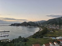 [알라딘서재][마이리뷰] 100세 할머니 약국 [마이리뷰] 100세 할머니 약국