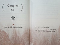 [너랑나랑] : 알라딘