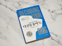 [angelos77님의 서재] : 알라딘