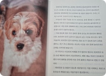 [알라딘서재][서평] 금쪽같은 우리 댕댕이, 견생역전 프로젝트 : 펫닥터가 알려주는 반려견 행동 안내서 [서평] 금쪽같은 우리 댕댕이, 견생역전... 