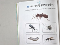 [알라딘서재]두뇌개발 학습지 추천