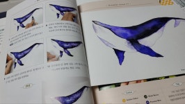[알라딘서재]수성펜 수채화 수성펜 수채화