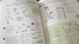 [알라딘서재]초등 수학을 더 재미있게! 공부머리 깨우는 수학 게임