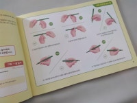 [알라딘서재]놀면서 똑똑해지는 문해력 그림놀이 놀면서 똑똑해지는 문해력 그림놀이