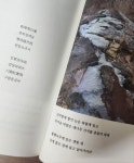 [알라딘서재]한시로 사계를 노래하다. 한시로 사계를 노래하다.