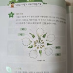 [알라딘서재]나도 이제는 나무박사 나도 이제는 나무박사