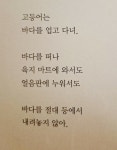 [알라딘서재][서평] 길고양이 릴리 아가씨 : 도시를 살아가는 고양이의 눈으로 본 세상