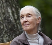 생태 연구자, 환경 운동가 그리고 희망의 아이콘 - 제인 구달... 알라딘 생태 연구자, 환경 운동가 그리고 희망의 아이콘 - 제인... 