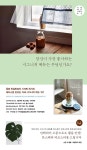 알라딘 : 카페 시그니처 메뉴 101 구매 시, 몬스테라 티코스터 카페 시그니처 메뉴 101 구매 시, 몬스테라 티코스터