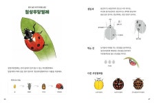 대한민국 국회도서관 | 정보검색 > 소장정보 검색 > (알기 쉬운) 곤충 이야기 (알기 쉬운) 곤충 이야기 / 글·그림: 소소한소통 ; 엮음: 국립생태원
