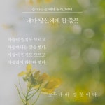 알라딘: 너라는 숲 너라는 숲