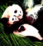 [중고] 꿈이 자라는 밤에 : 알라딘