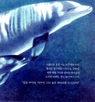 [중고] 꿈이 자라는 밤에 : 알라딘