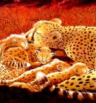 [중고] 꿈이 자라는 밤에 : 알라딘