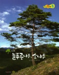 [중고] 늘푸른나무, 소나무 | 강정화 | 알라딘 [중고] 늘푸른나무, 소나무 | 강정화