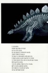공룡 엑스레이 : 알라딘
