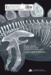 공룡 엑스레이 : 알라딘