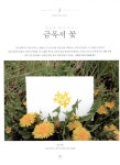 꽃보다 꽃그림 | 복고풍로맨스(정수경) | 알라딘 꽃보다 꽃그림 | 복고풍로맨스(정수경)