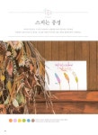 [중고] 처음 만나는 수채화 캘리그라피 : 알라딘