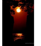 [중고] 춘우의 아름다운 우리나라 | 송승진 | 알라딘 [중고] 춘우의 아름다운 우리나라 | 송승진