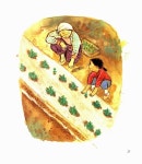 알라딘: [중고] 행복한 어린이 농부 4 : 바람골 은우네 콩 이야기 [중고] 행복한 어린이 농부 4 : 바람골 은우네 콩 이야기