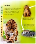 Life Cycles : 열대 우림 | Life Cycles | 숀 캘러리 | 알라딘 Life Cycles : 열대 우림 | Life Cycles | 숀 캘러리
