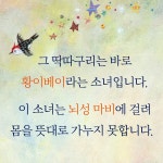 딱따구리 아이 : 알라딘