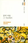알라딘: 꿈의 여울 그 미로에서 꿈의 여울 그 미로에서