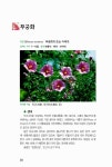 [중고] 한국의 약초 : 알라딘