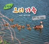 알라딘: 신천의 오리 가족 신천의 오리 가족