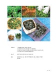 행복한 꽃차 만들기 | 이영득.고찬균 | 알라딘 행복한 꽃차 만들기 | 이영득.고찬균
