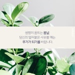 [중고] 니체처럼 2240400404 | 김준산 | 알라딘 [중고] 니체처럼 2240400404 | 김준산