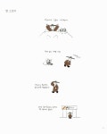 고양이가 왔다 : 알라딘