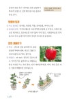 알라딘: [중고] 텃밭 주말농장 채소·약채소 기르기 [중고] 텃밭 주말농장 채소·약채소 기르기