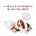 알라딘: [중고] 너의 마음을 들려줘 [중고] 너의 마음을 들려줘