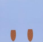 오리기 동물 | 머리가 좋아지는 오리기 시리즈 | 책마중 기획.구성, 신유진 그림 | 알라딘 오리기 동물 | 머리가 좋아지는 오리기 시리즈  | 책마중... 