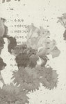 [전자책] 묵호의 꽃 1 : 알라딘