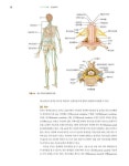 기초생리학 (방효원 외) : 알라딘