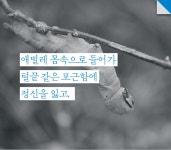 알라딘: 단어의 발견 단어의 발견
