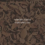 김풍기 교수와 함께 읽는 오언당음 : 알라딘