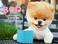 알라딘: [중고] Boo : 세상에서 가장 귀여운 강아지의 하루 [중고] Boo : 세상에서 가장 귀여운 강아지의 하루
